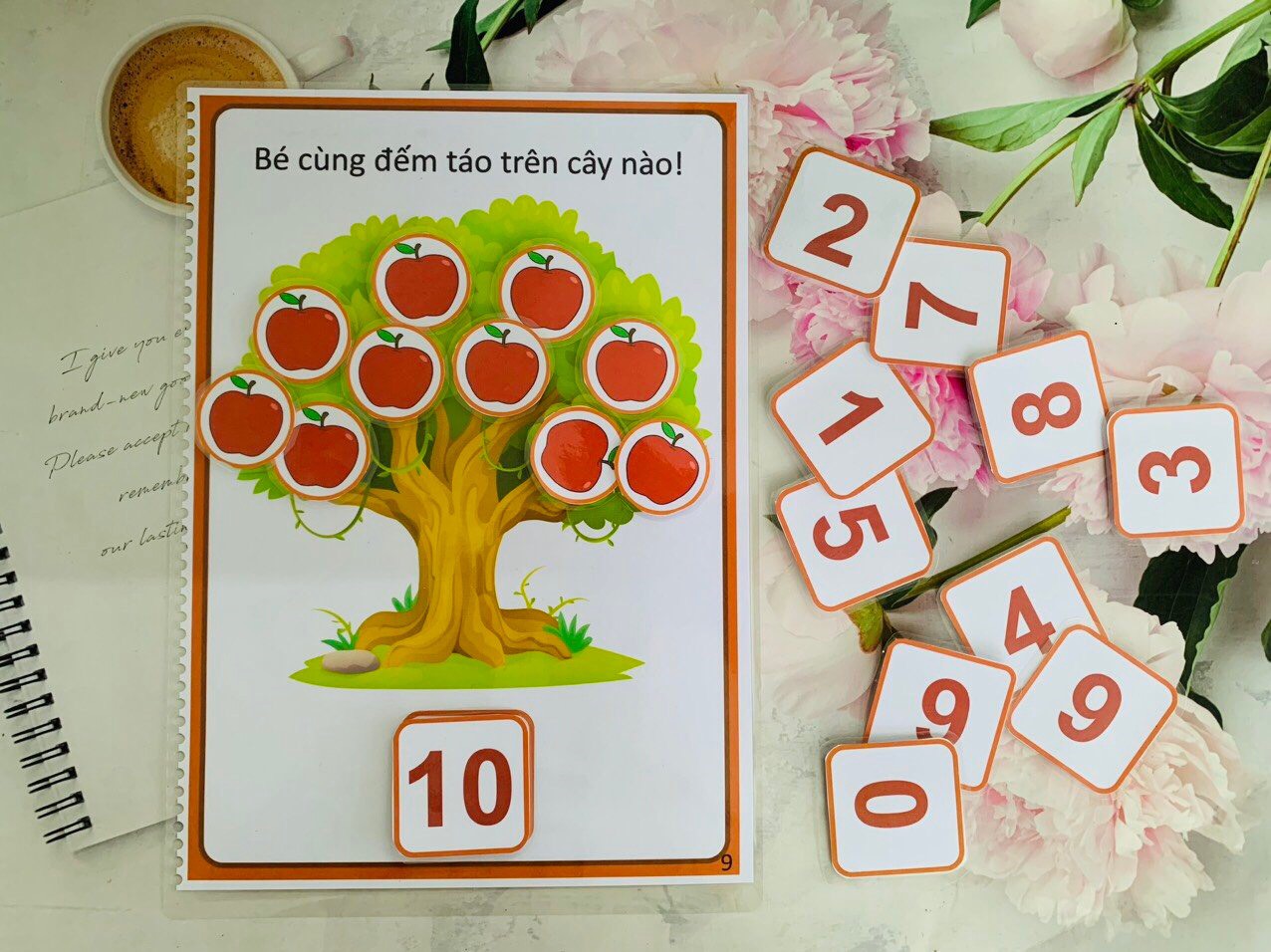 z5483285183668_c89be96d8d9b60c9049485abf064f1df