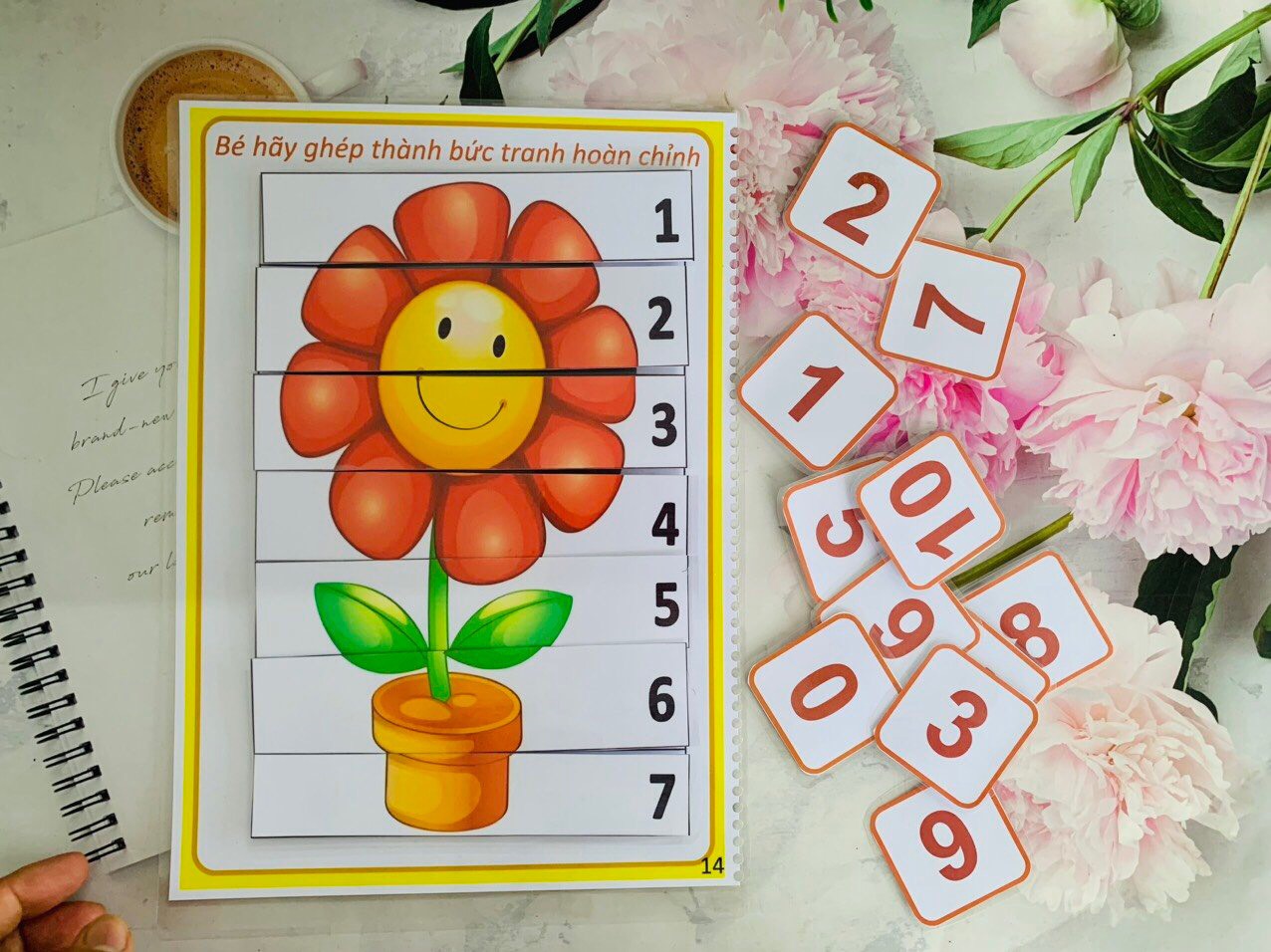 z5483285195161_81b53c389ee06ad092ba93da652b4074