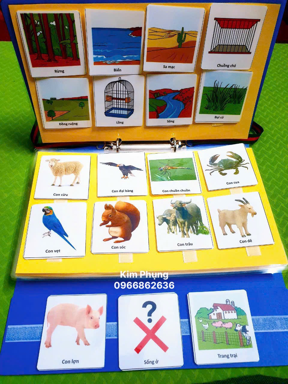 z5632124505170_af4b5742fd12a10c8f279f8cbddb1409