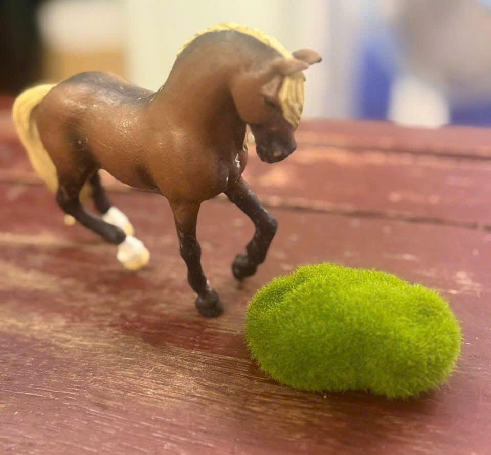 z7631035149958_a9b9ffdfd65f67e3344202c9f79480d0